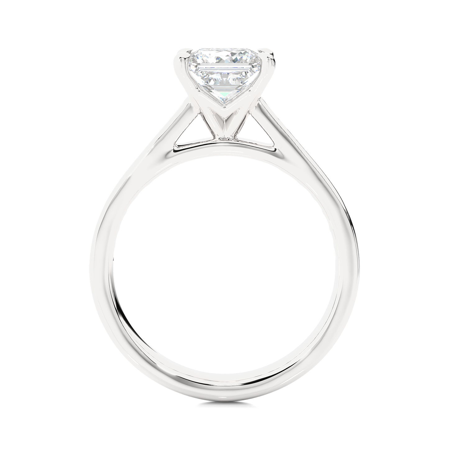 Princess Lab Grown Diamond Side Stone Engagement Ring, 1.95 Carat Accented Ring For Our Special Person