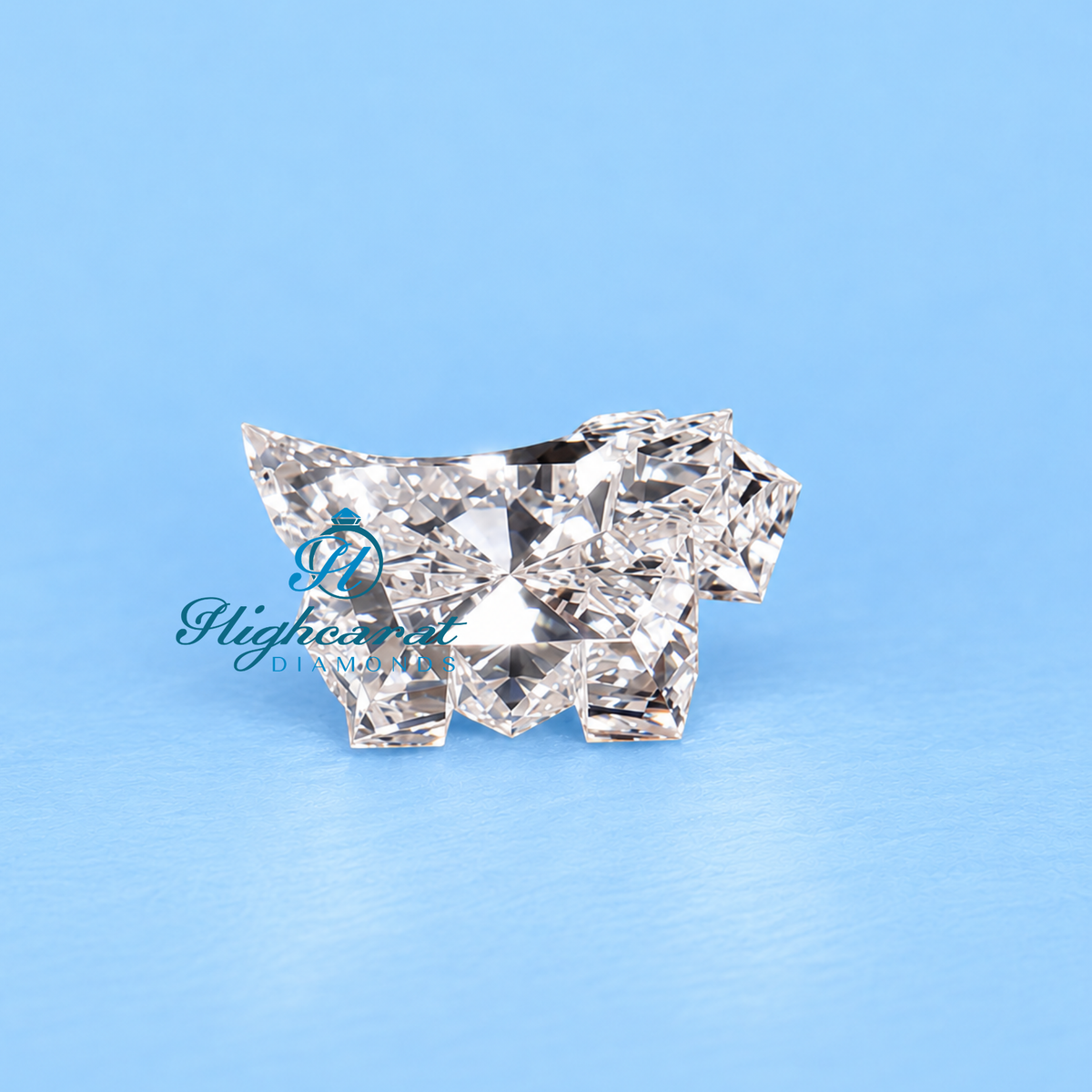 Close-up of dog shape lab grown diamond