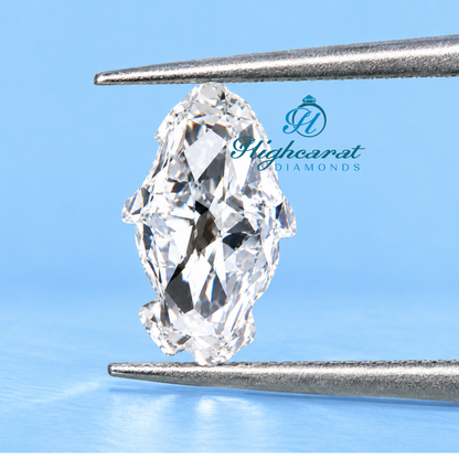 Unique Fish Shaped Lab Grown Diamond