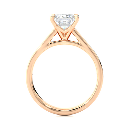 Princess Lab Grown Diamond Side Stone Engagement Ring, 1.95 Carat Accented Ring For Our Special Person