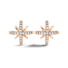 Round Shape Lab Grown & Natural Diamond Sinning Fabulous Unique Stud Diamond Earrings - HIGHCARAT DIAMONDS