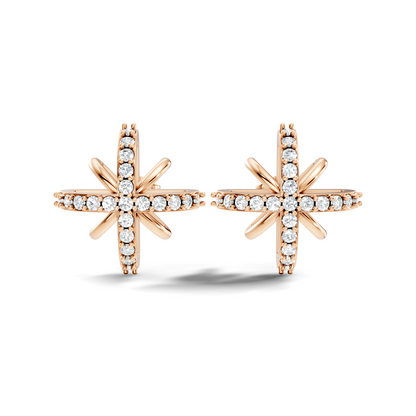 Round Shape Lab Grown & Natural Diamond Sinning Fabulous Unique Stud Diamond Earrings - HIGHCARAT DIAMONDS