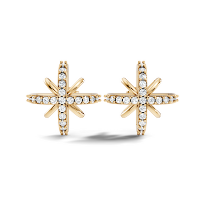 Round Shape Lab Grown & Natural Diamond Sinning Fabulous Unique Stud Diamond Earrings - HIGHCARAT DIAMONDS