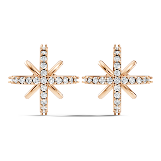 Round Shape Lab Grown & Natural Diamond Sinning Fabulous Unique Stud Diamond Earrings - HIGHCARAT DIAMONDS