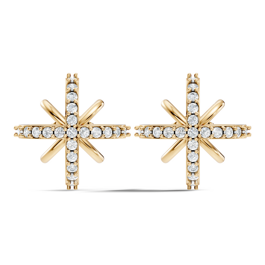 Round Shape Lab Grown & Natural Diamond Sinning Fabulous Unique Stud Diamond Earrings - HIGHCARAT DIAMONDS