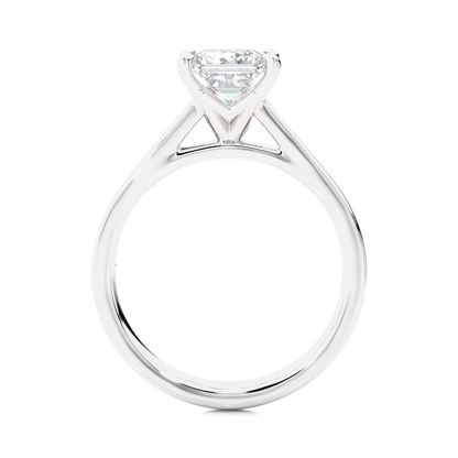 Princess Lab Grown Diamond Side Stone Engagement Ring, 1.95 Carat Accented Ring For Our Special Person